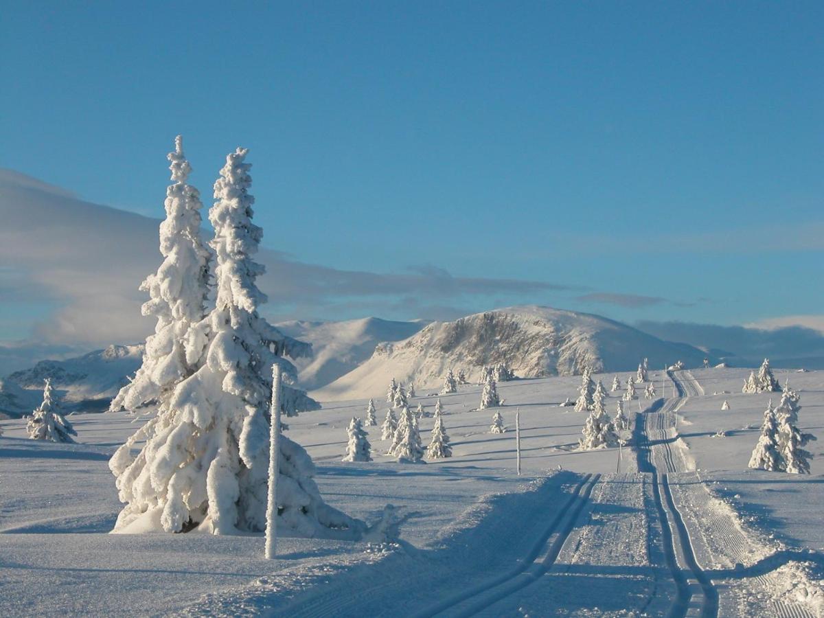 Perfect Moutain Getaway! Beautiful Apartment At Skagahogdi With Panoramic View Гол Екстериор снимка