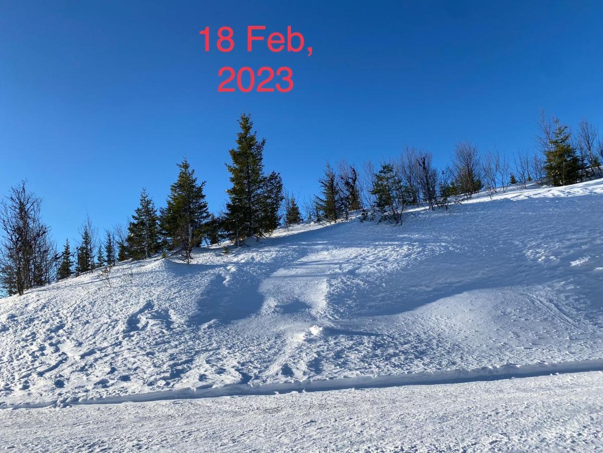 Perfect Moutain Getaway! Beautiful Apartment At Skagahogdi With Panoramic View Гол Екстериор снимка