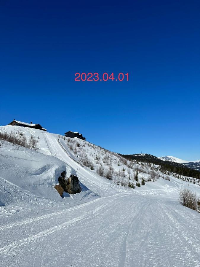 Perfect Moutain Getaway! Beautiful Apartment At Skagahogdi With Panoramic View Гол Екстериор снимка