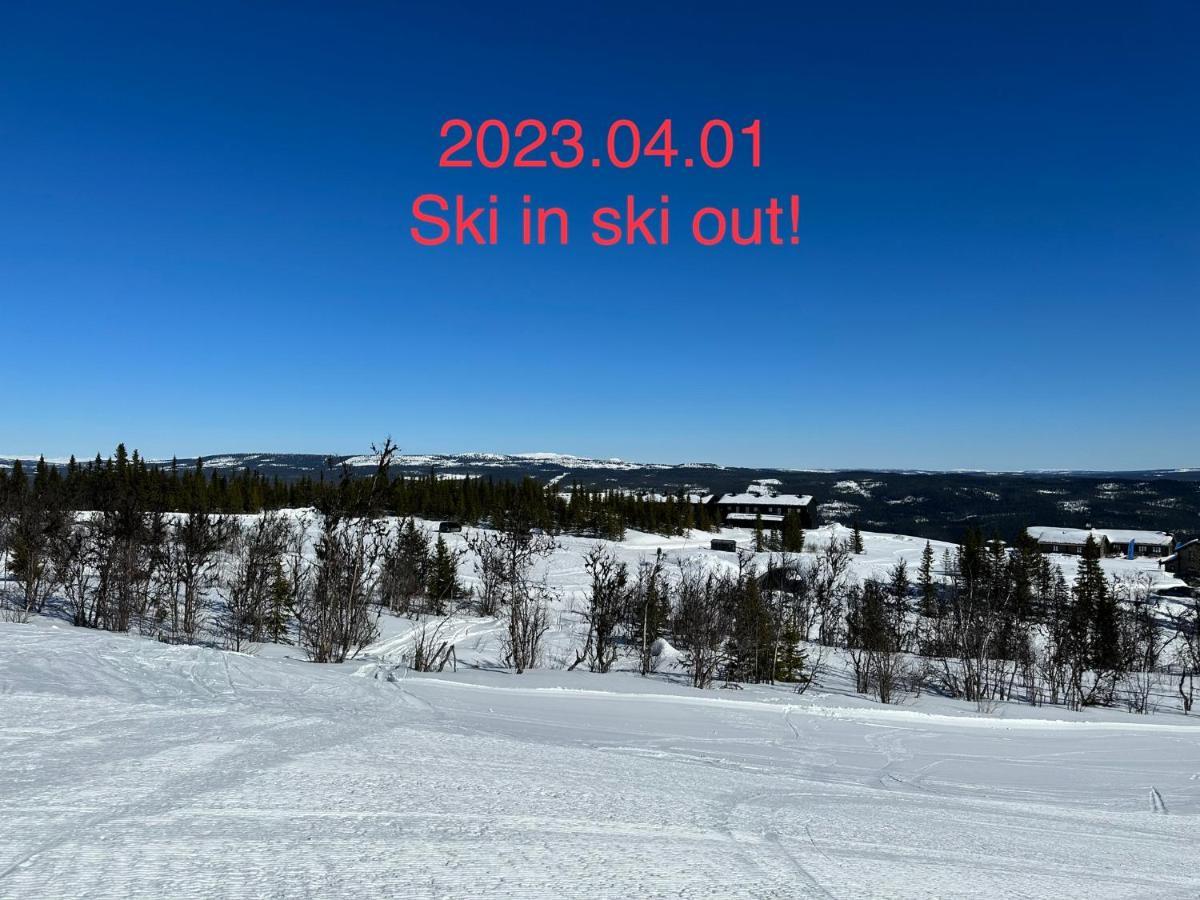Perfect Moutain Getaway! Beautiful Apartment At Skagahogdi With Panoramic View Гол Екстериор снимка